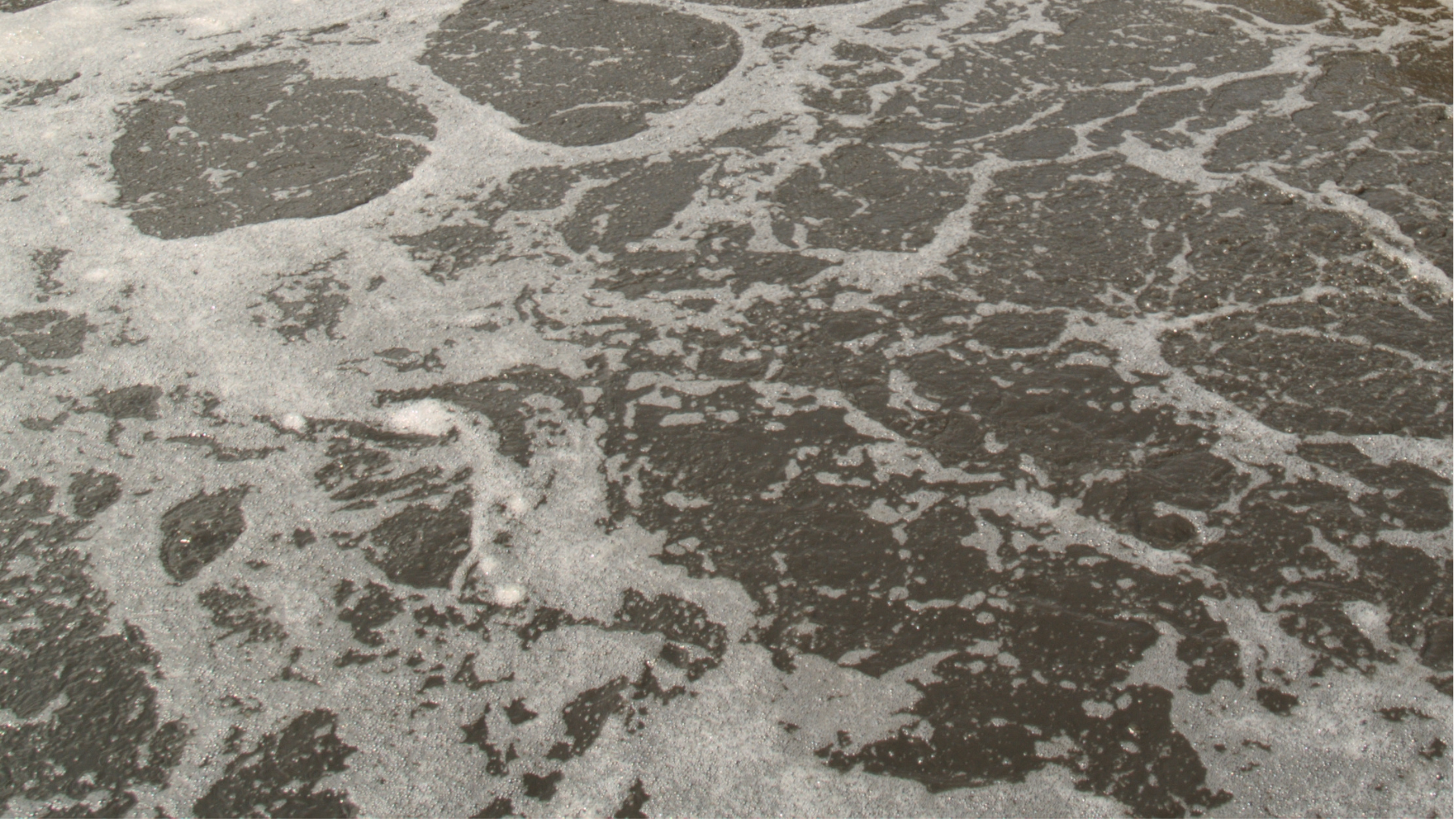 Activated Sludge: The Pinnacle of Sewage Treatment - Fast, Effective, and Eco-Friendly