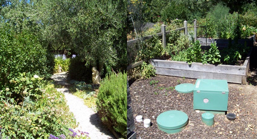Garden Drought Broken by Ozzi Kleen Aerobic Wastewater Treatment System